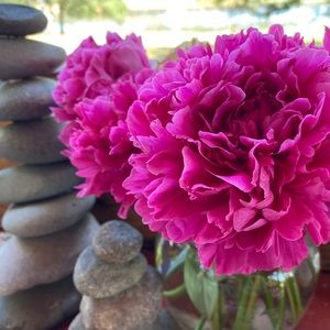 Meet your Posher, Della